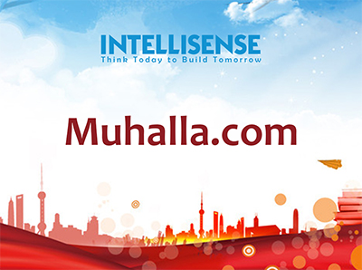 Intellisense solution muhalla_web_icon