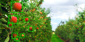 Crop and FIeld Monitoring using Deep Learning and Computer Vision